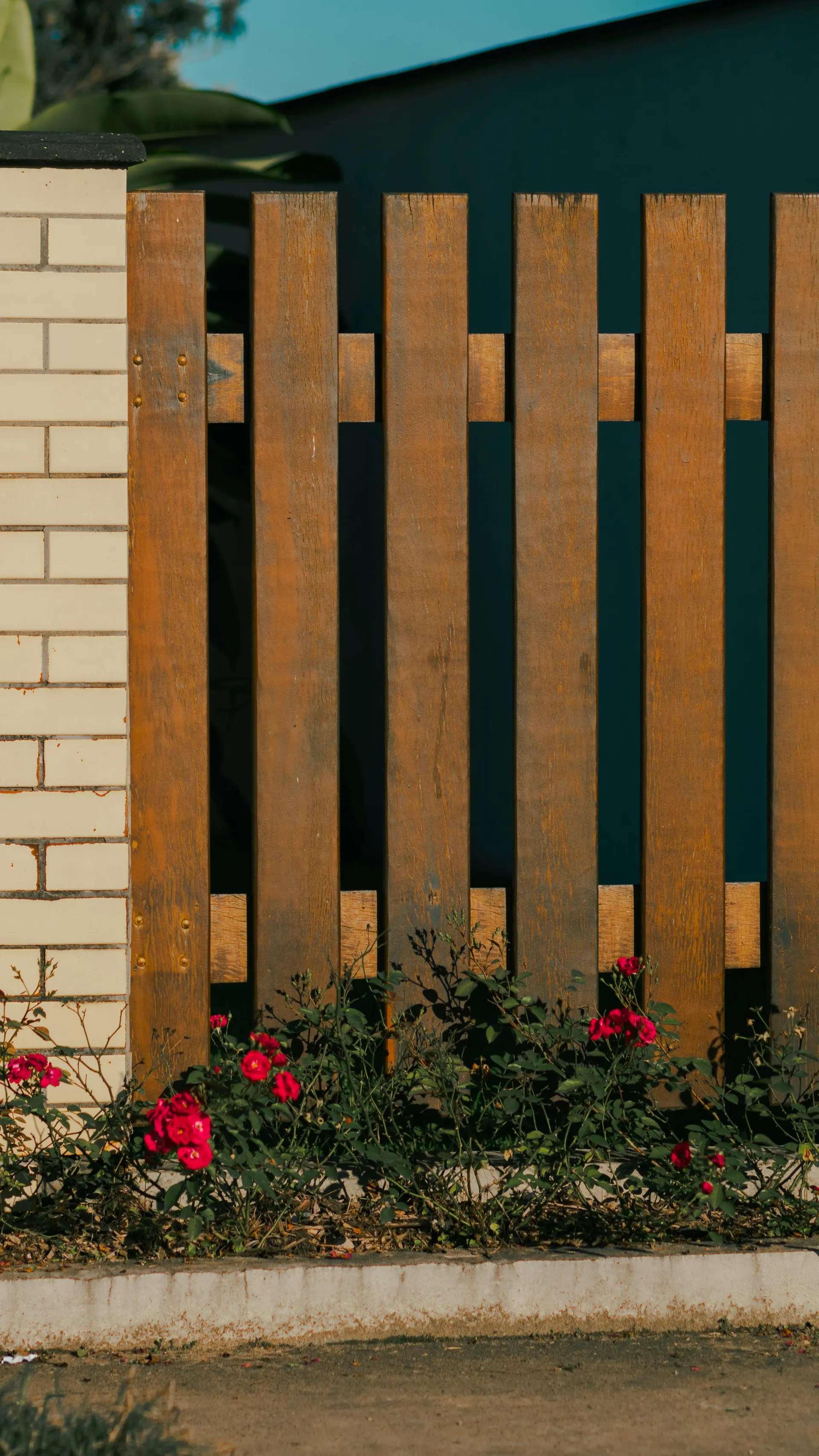 Wood fence cleaning and staining process