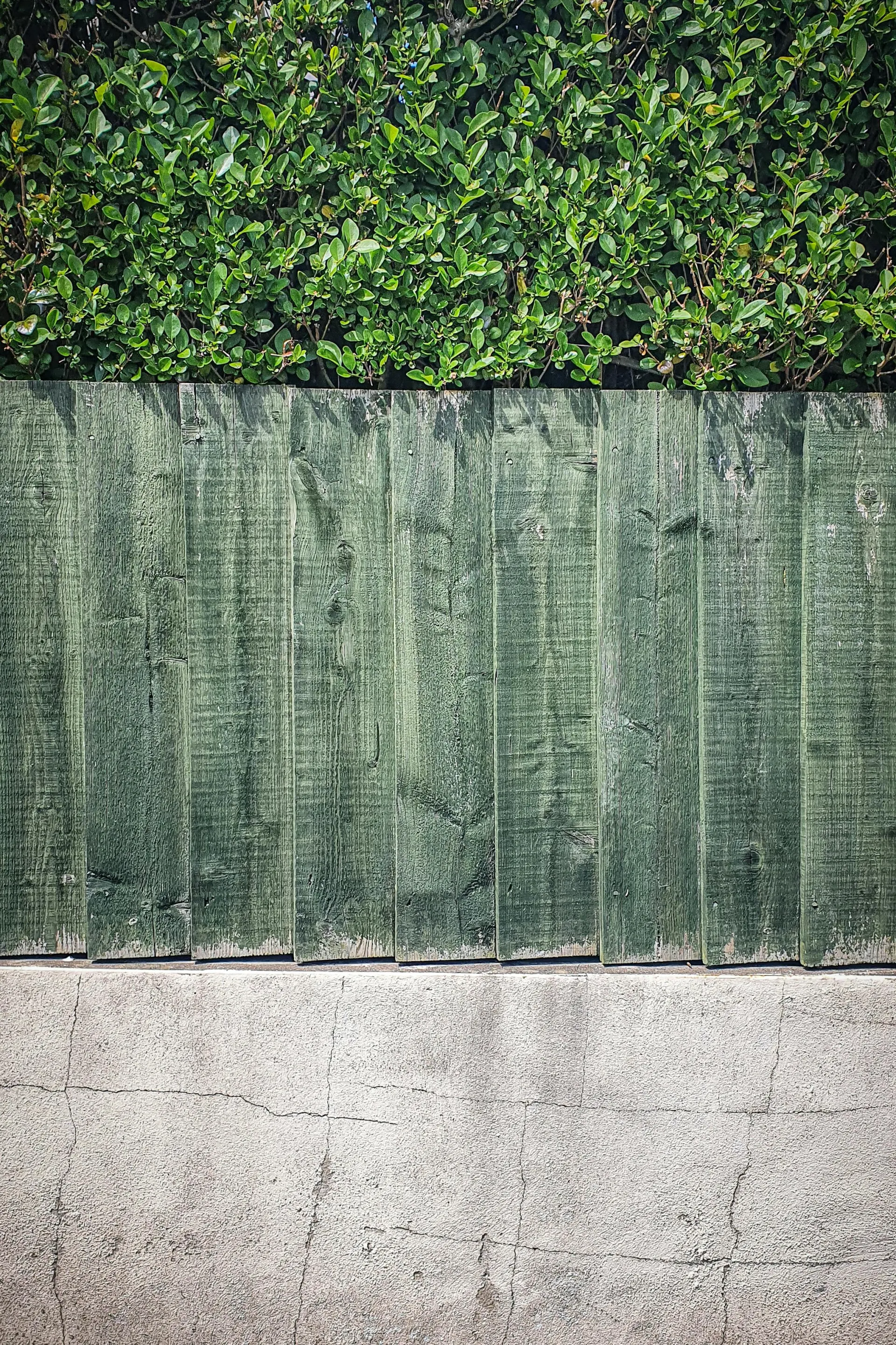 Professional fence repair and maintenance