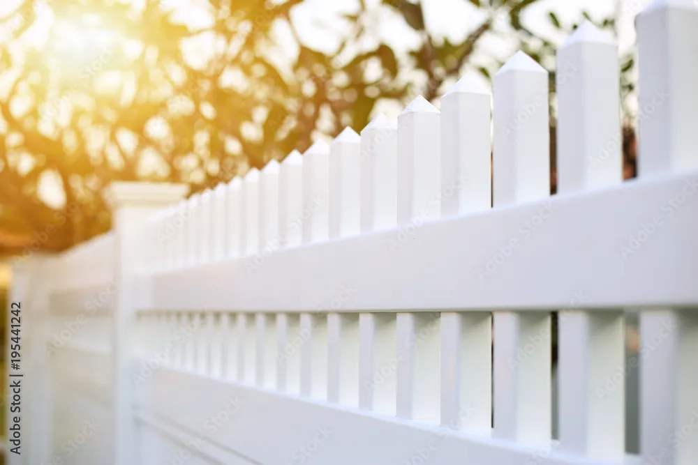 Mascotte fencing installation